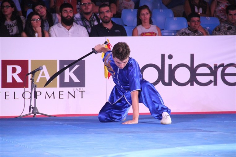 Martial Arts Festival